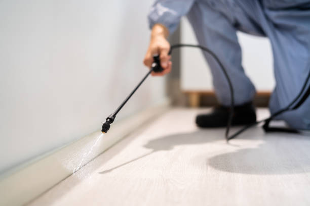 Licensed Termite Control service in Clanton, AL - Nex Pest Control