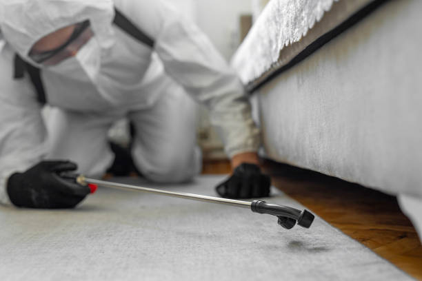 Professional Termite Control technician working in Clanton, AL