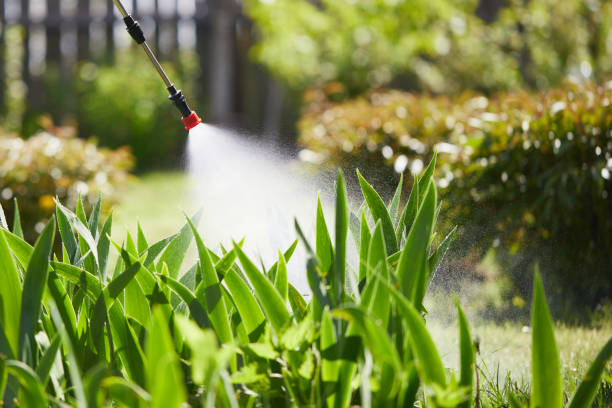 24/7 Emergency Termite Control experts in Clanton, AL