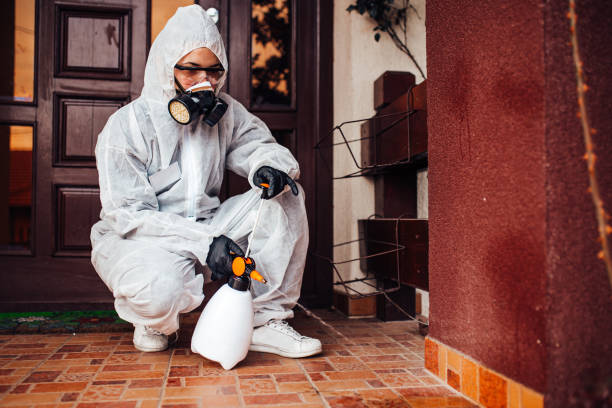 Reliable Termite Control contractor in Clanton, AL by Nex Pest Control