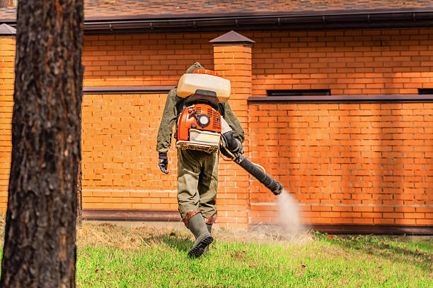 Top rated local Termite Control specialists in Clanton, AL